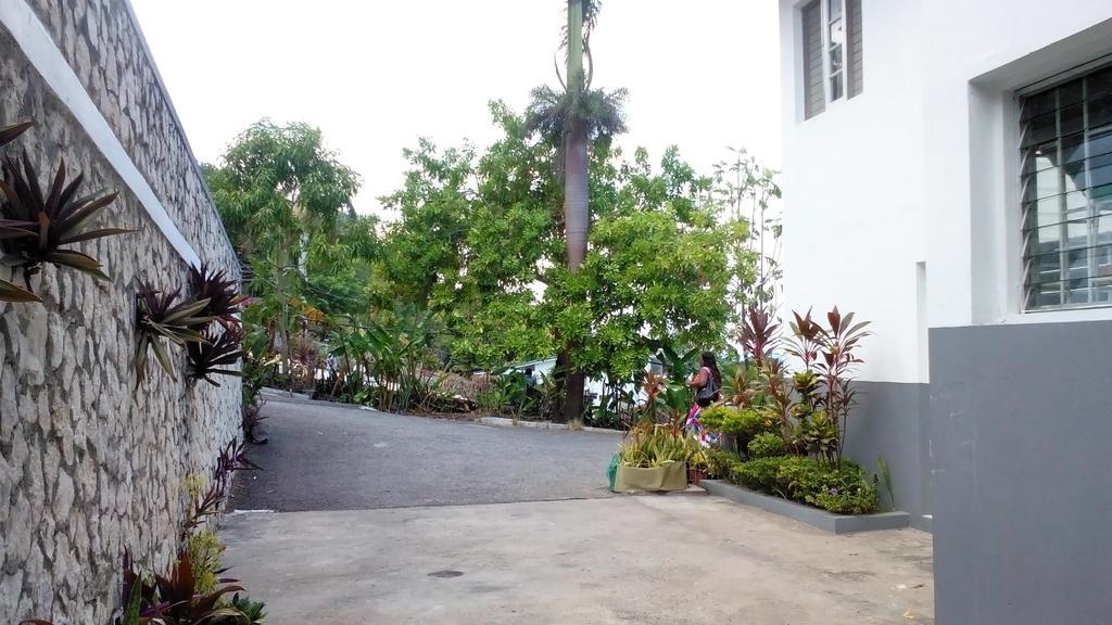Palm View Guest House Montego Bay Zewnętrze zdjęcie