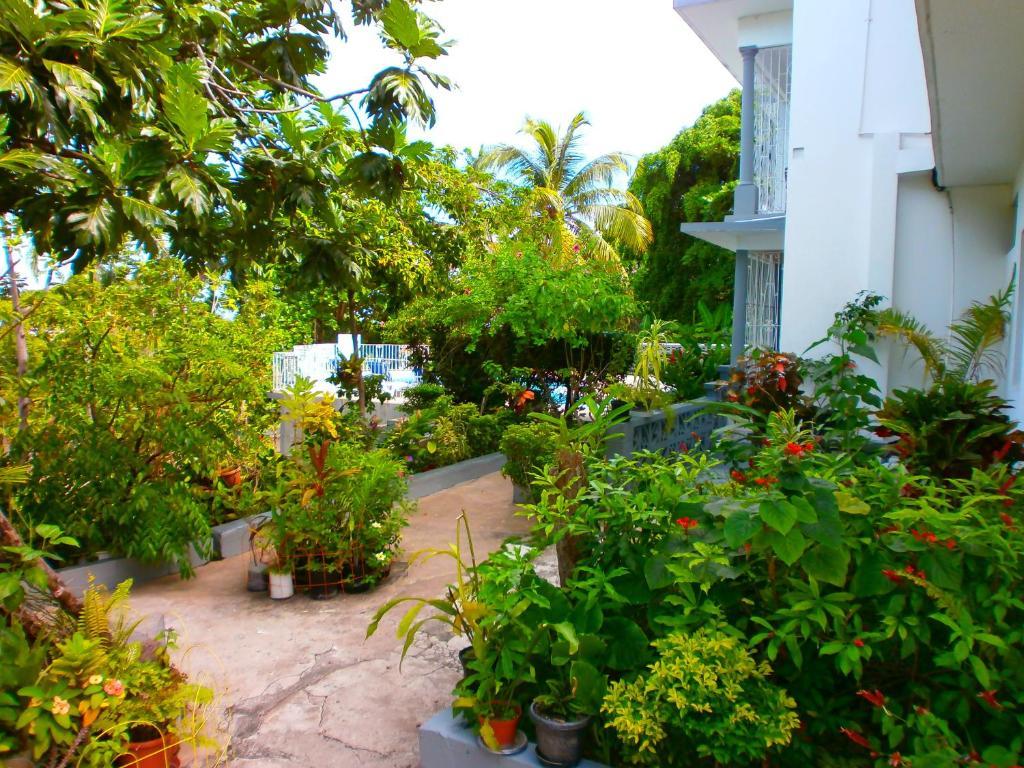 Palm View Guest House Montego Bay Zewnętrze zdjęcie